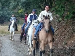 ウエスタン乗馬　マリンズステーブルの写真