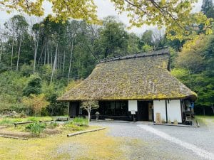 りょうり舎　やまゆの写真