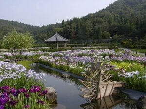 永沢寺花菖蒲園、永沢寺そば道場の写真