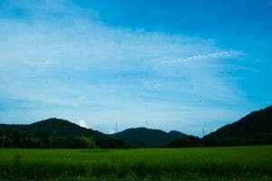 食と自然がおりなす町、丹波篠山の写真