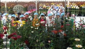 丹波篠山市菊花展の写真