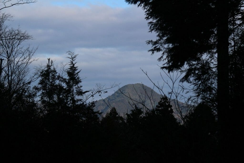 MON Tambasasayama – le don de la nature