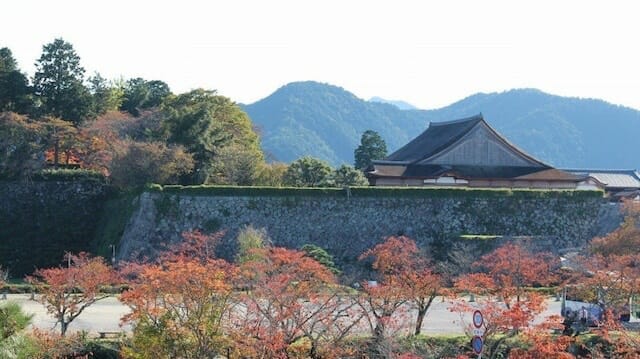 舌尖上的10月丹波篠山