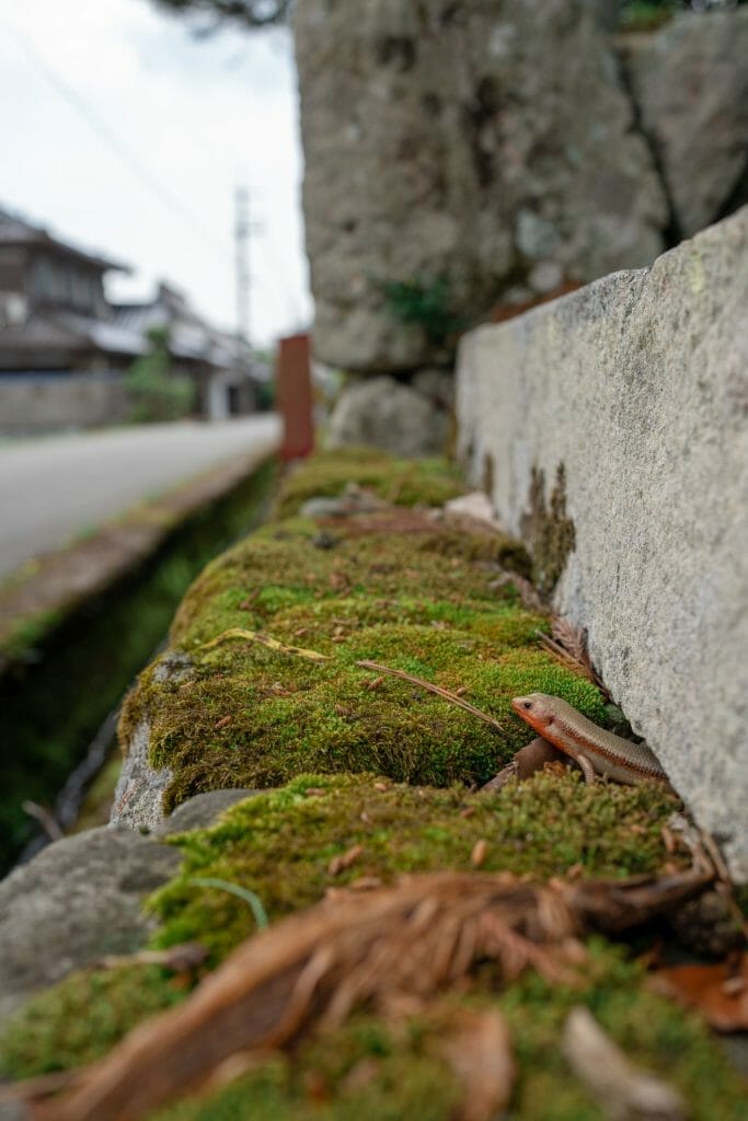 A Walk in the Countryside of Oyama District – Part 2