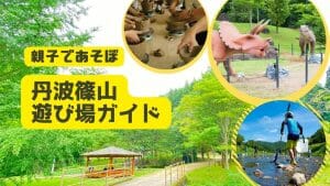 親子であそぼ／丹波篠山遊び場ガイドの写真