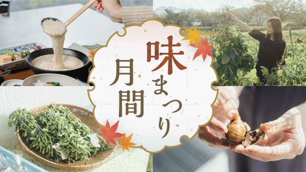 【2024年最新！丹波篠山味まつり月間】丹波篠山黒枝豆 販売解禁情報